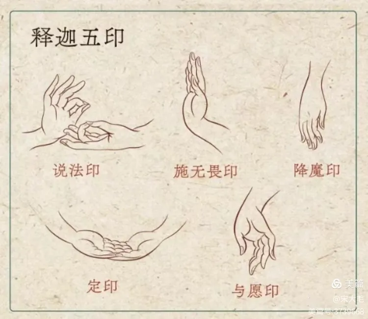 释迦五印,万物皆种也,以不同形式相禅!